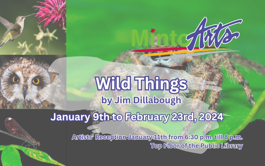 Wild Things – Photography by Jim Dillabough